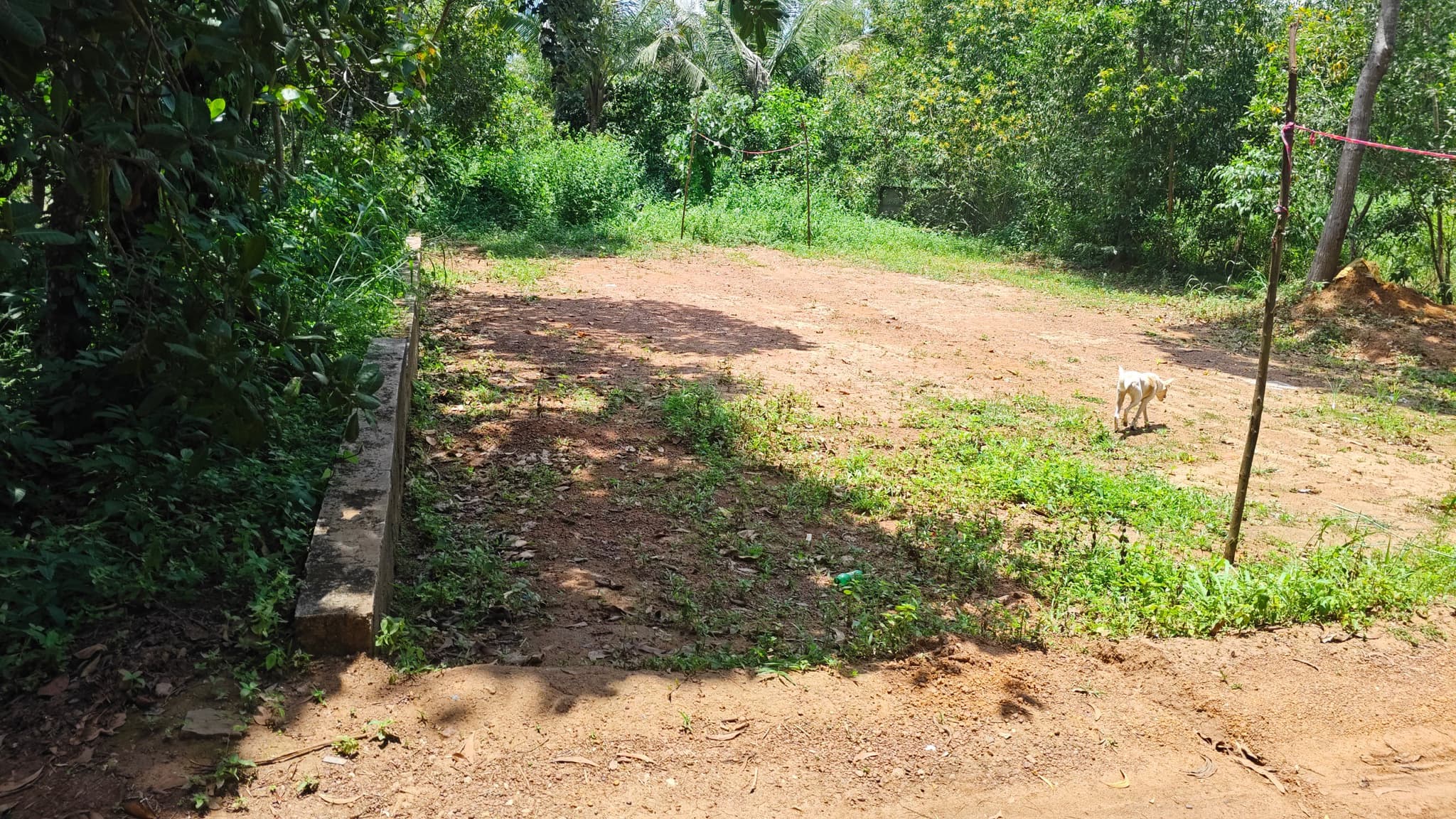 Plot for Sale in Parippally, Kollam