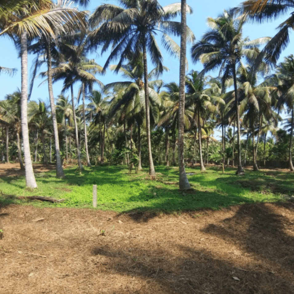 One Acre land for sale in Thrissur