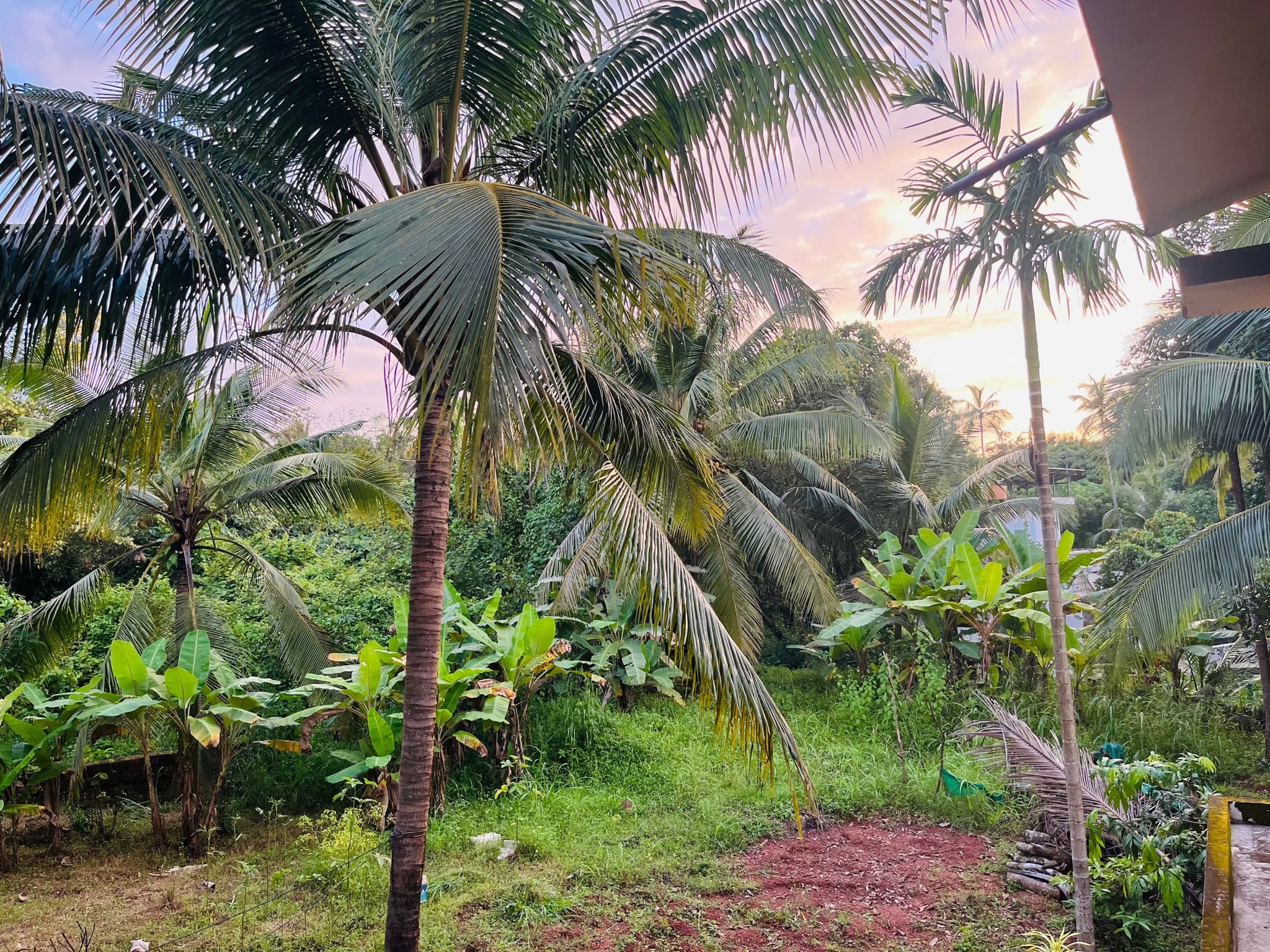 Plot for Sale in Kuttiattoor, Kannur