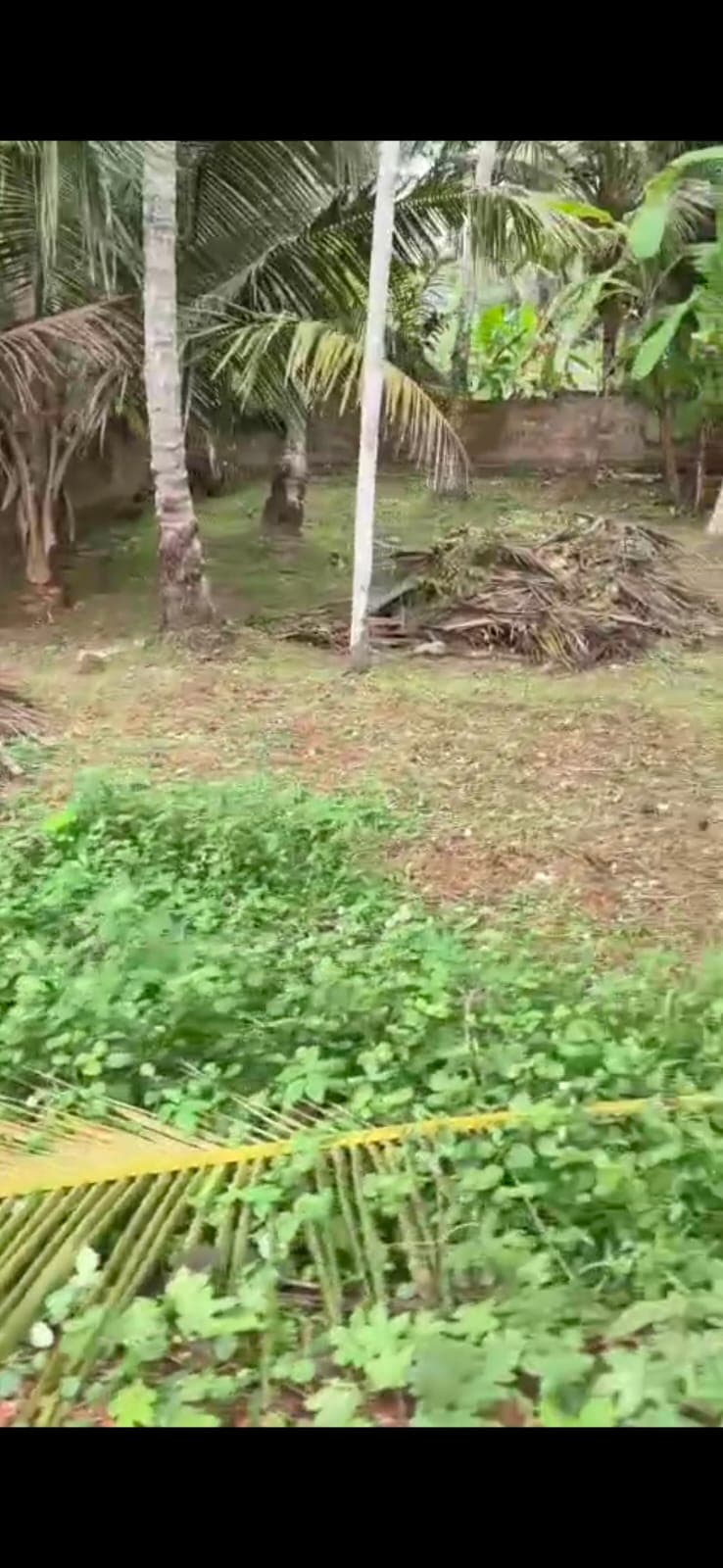 Plot for Sale in Malaparamba Housing Colony, Kozhikode
