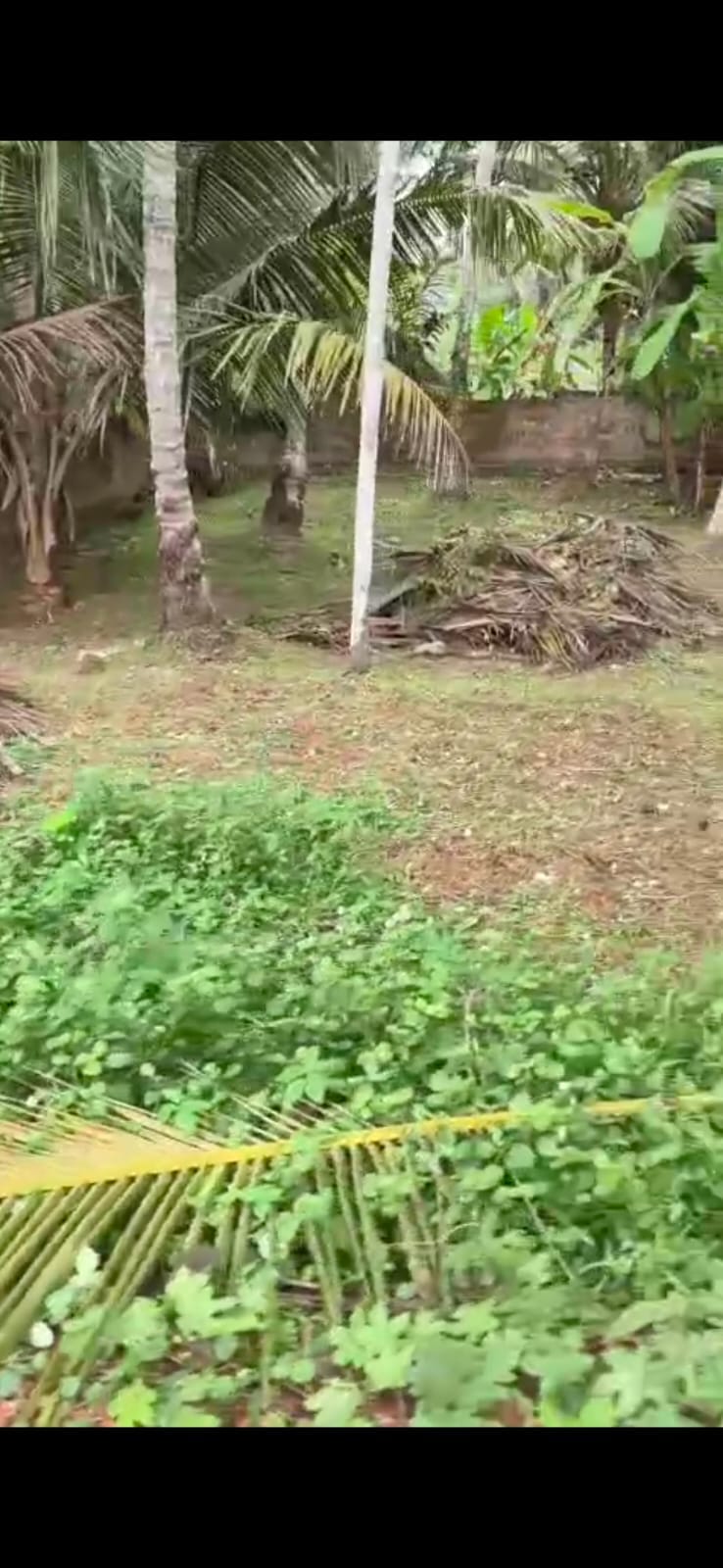 Residential plot in kotooli( chulliyod)