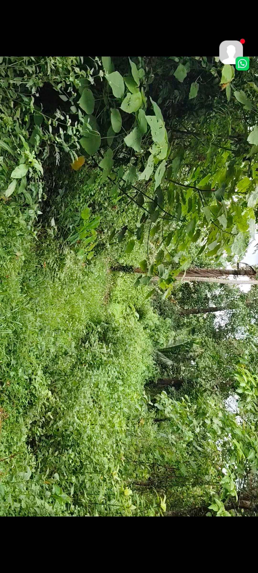 Plot for Sale in Manakkalappadi, Thrissur