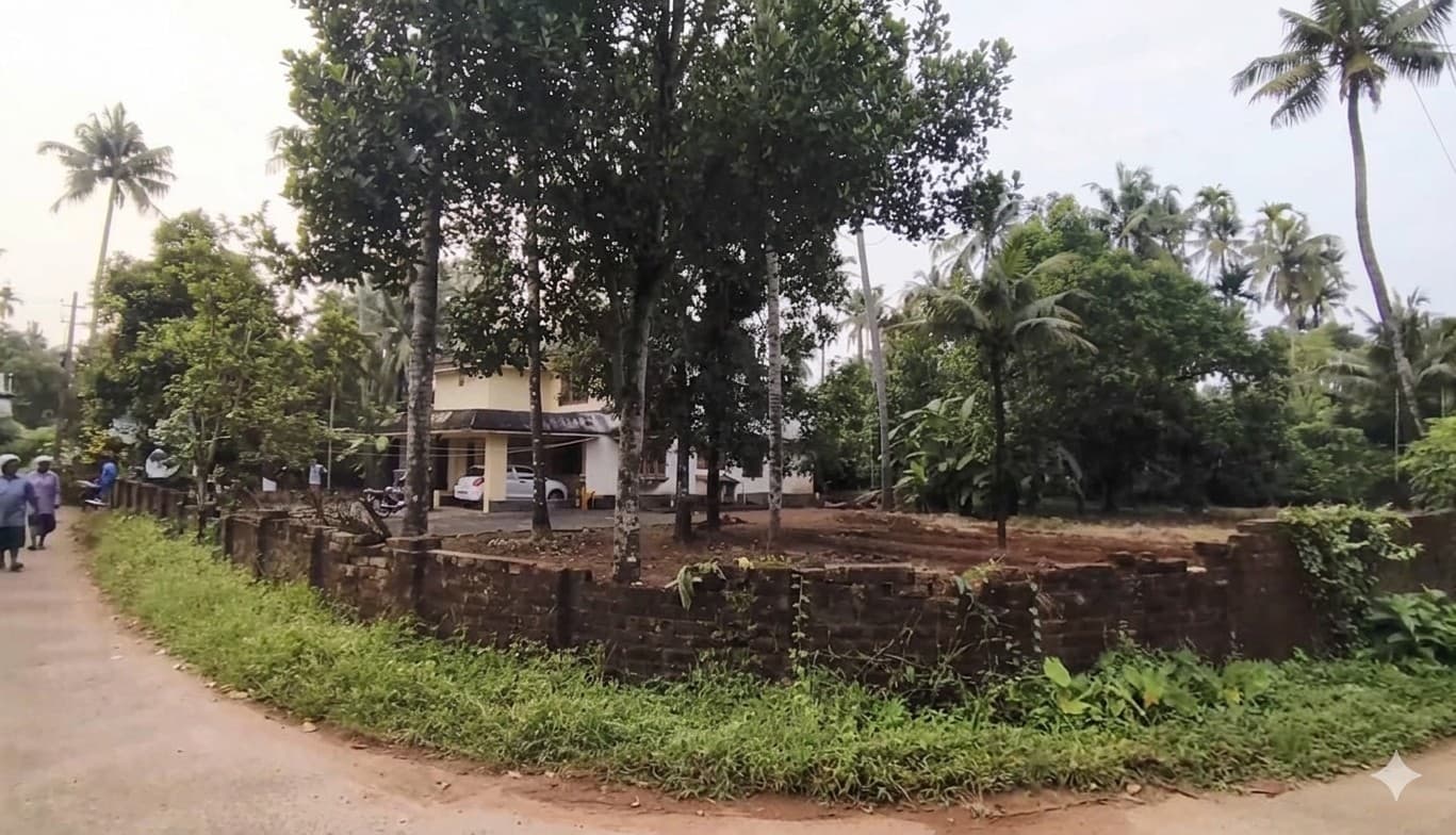Plot for Sale in Thottippal, Thrissur