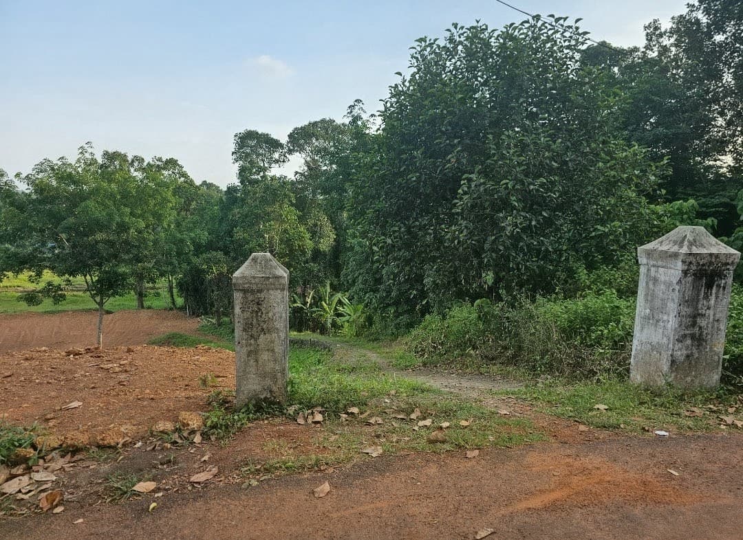 Plot for Sale in Devalokam, Alappuzha