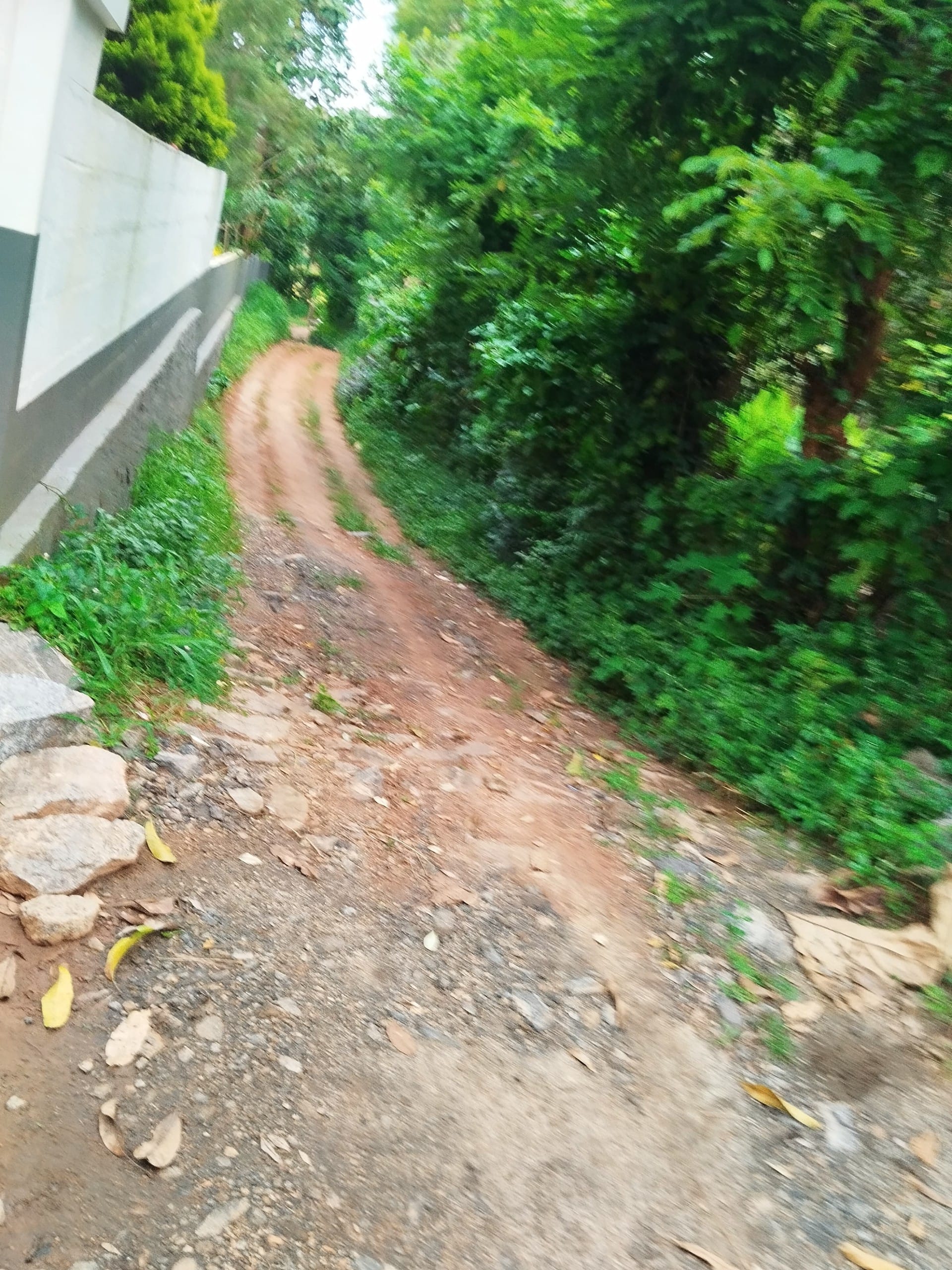Residential Property in kizhakkumpuram near ganapathy temple