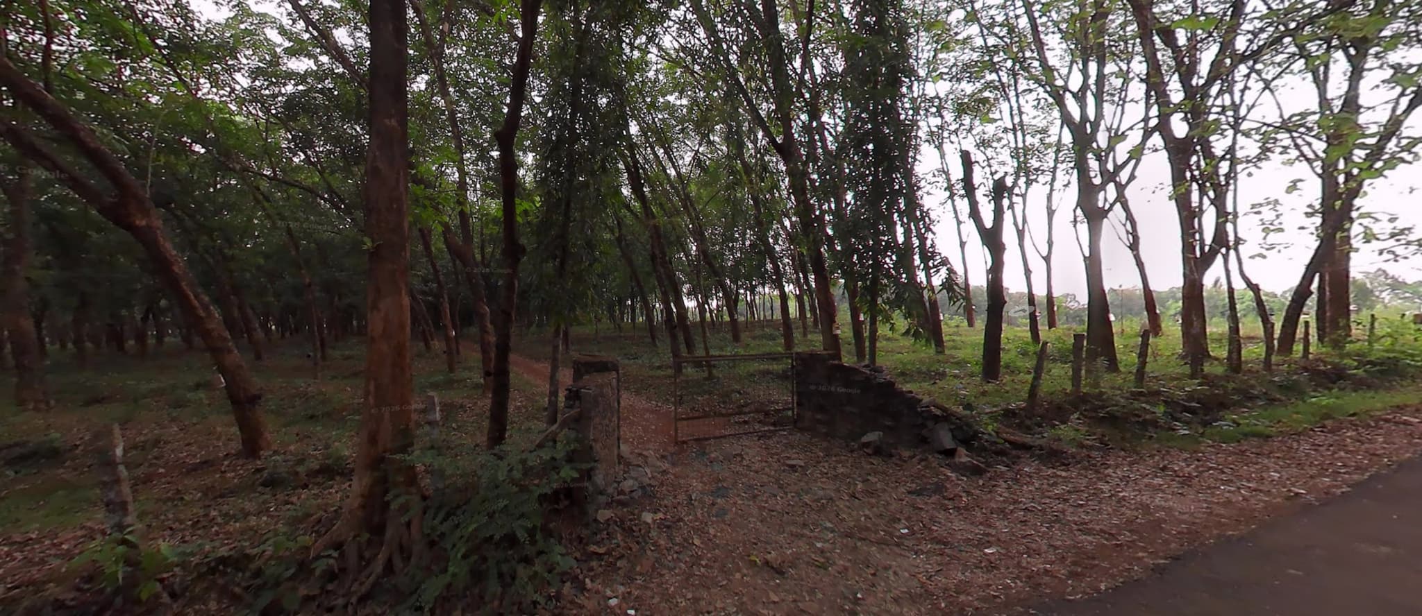 Plot for Sale in Santhi Nagar, Malappuram