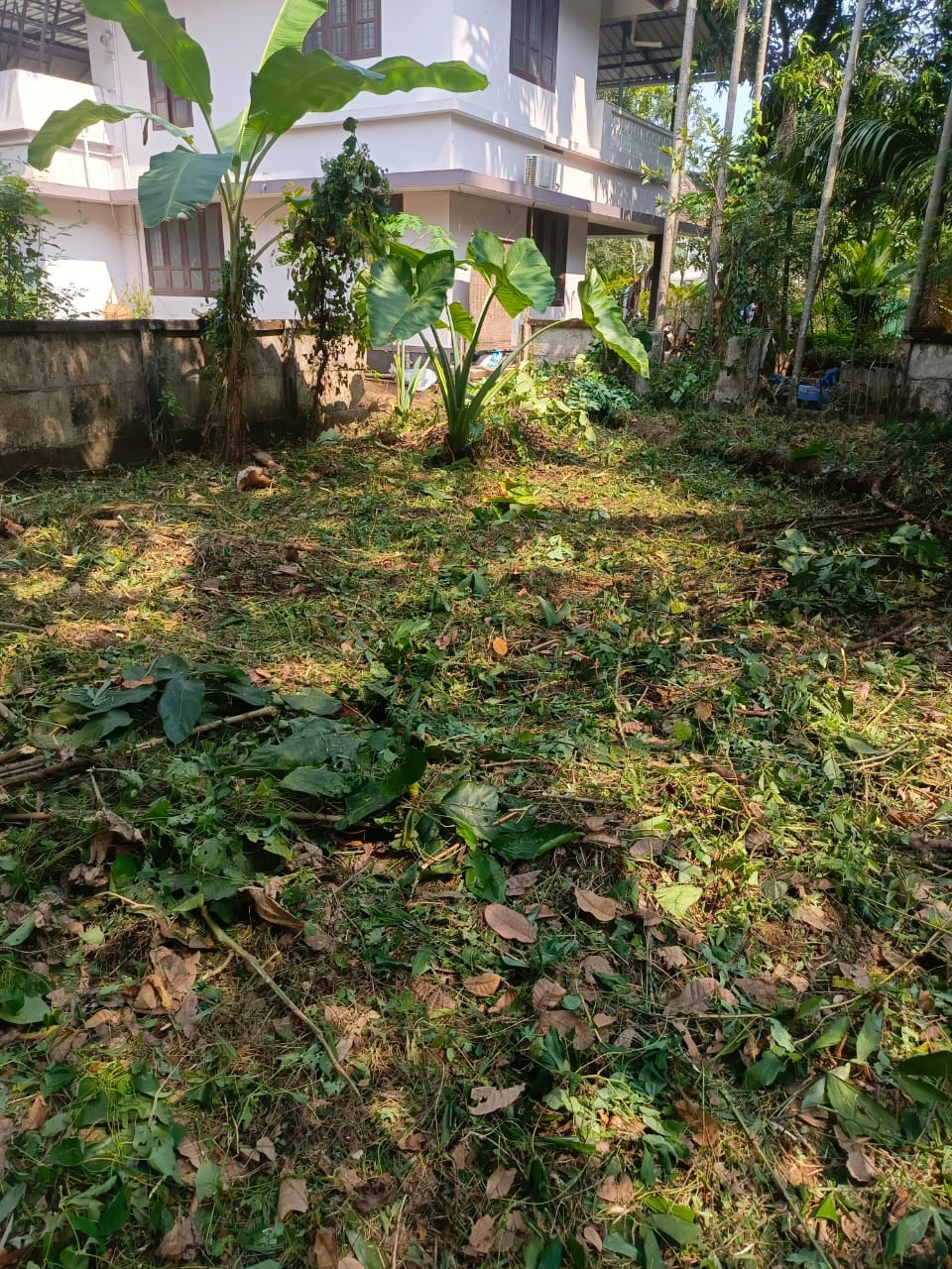 Residential plot in Villadam