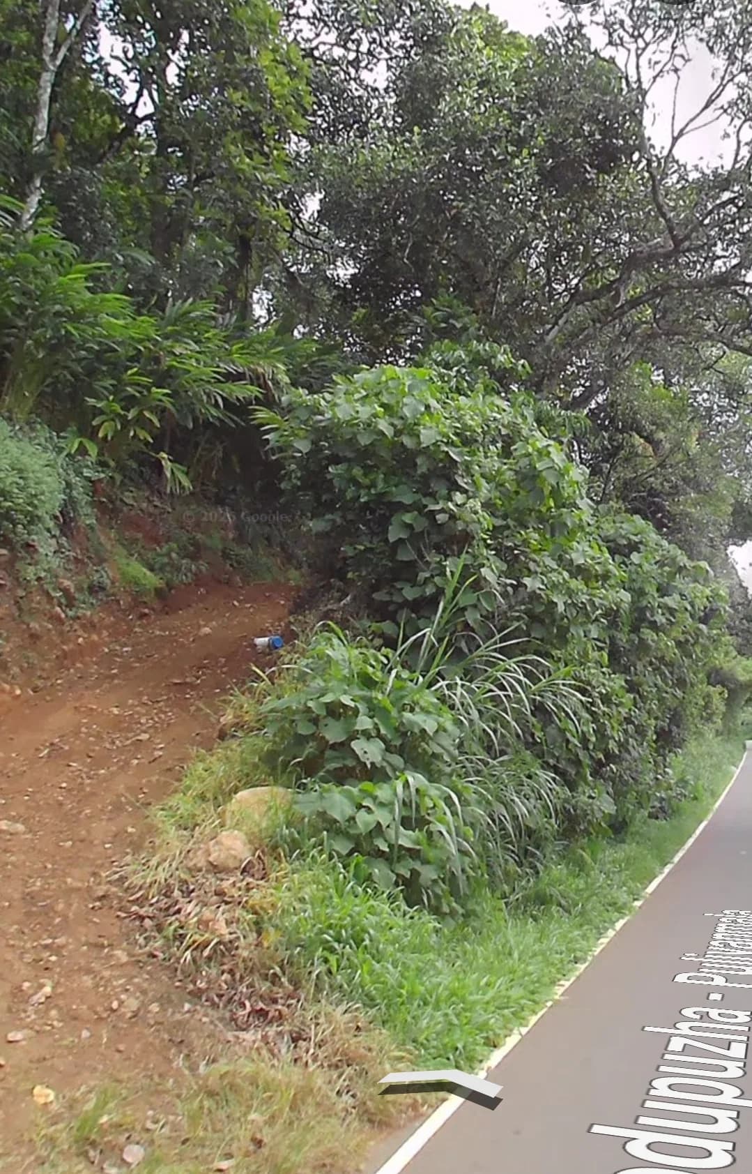 Plot for Sale in Idukki Kavala, Idukki