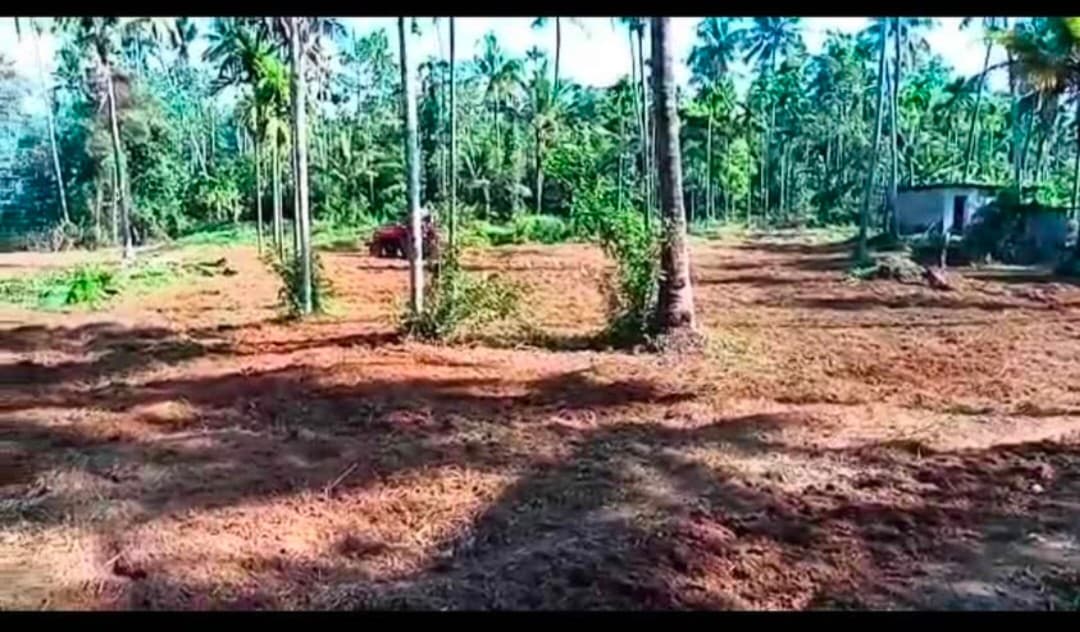 Plot for Sale in Manakkalappadi, Thrissur
