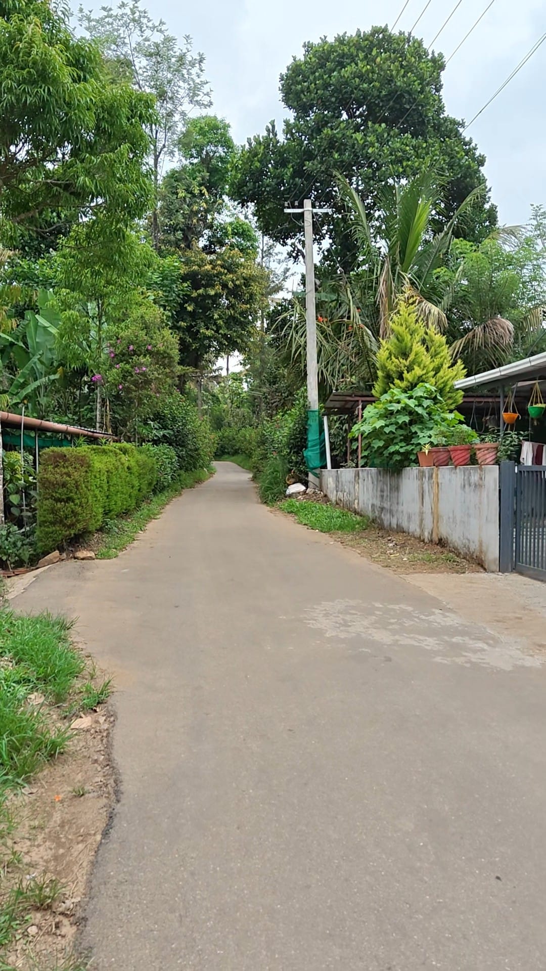 20 cent house plot with tar road frontage with water and electricity