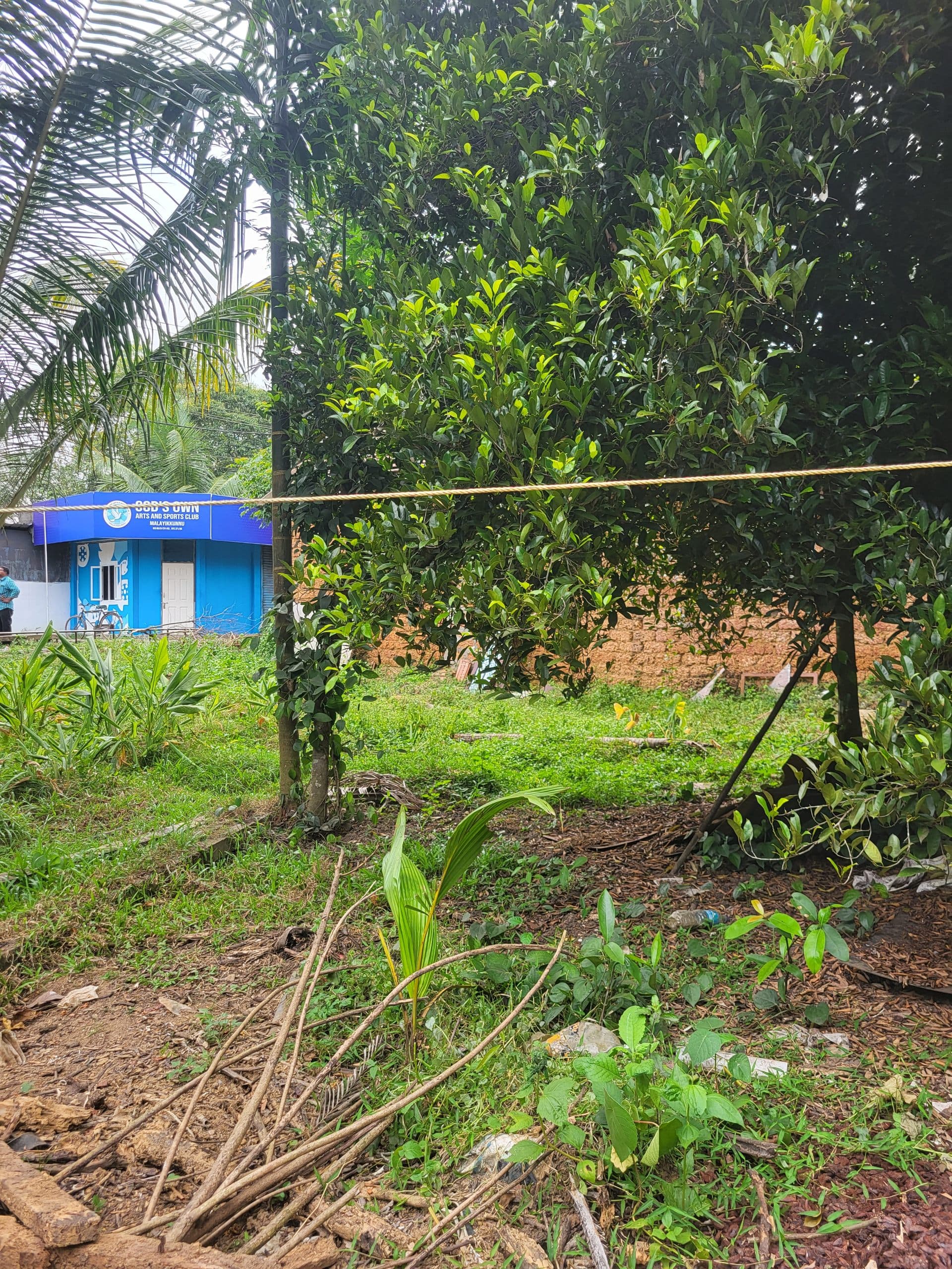 Plot for Sale in Aduvasseri, Kochi