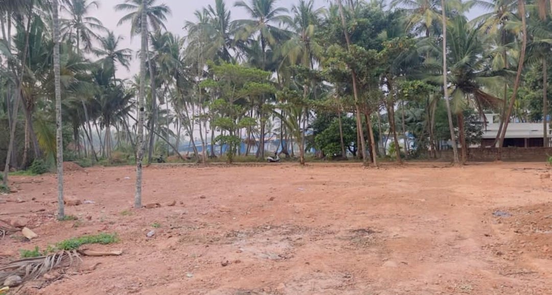 River side Plot near NH66