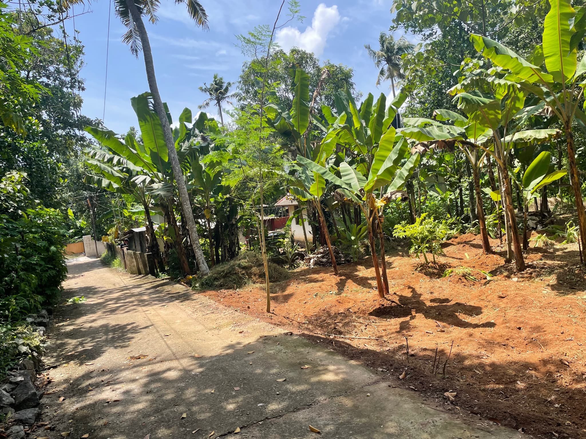 Plot for Sale in Vandippura, Kollam