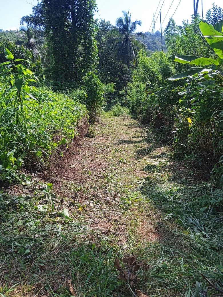 Plot for Sale in Ottupara, Thrissur