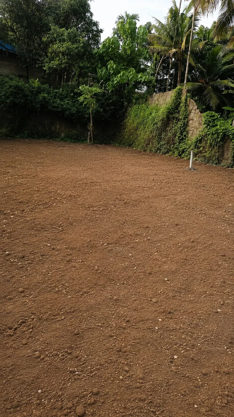 Residential plot near ponganamkadu church for sale