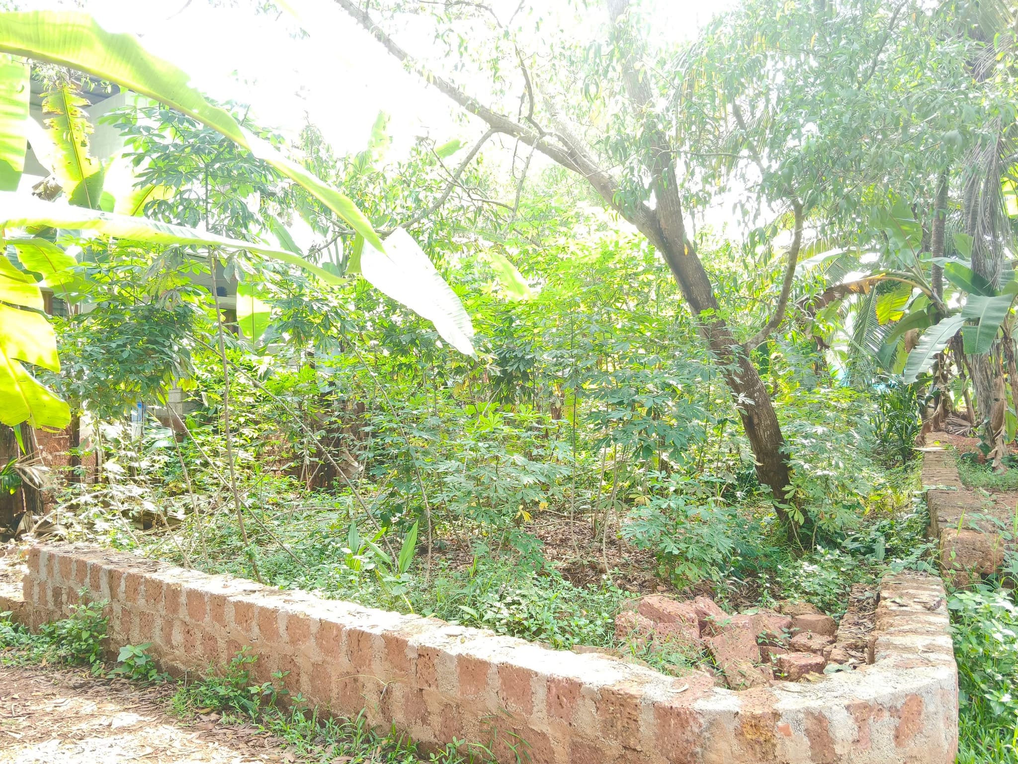 Plot for Sale in Ramanattukara, Kozhikode