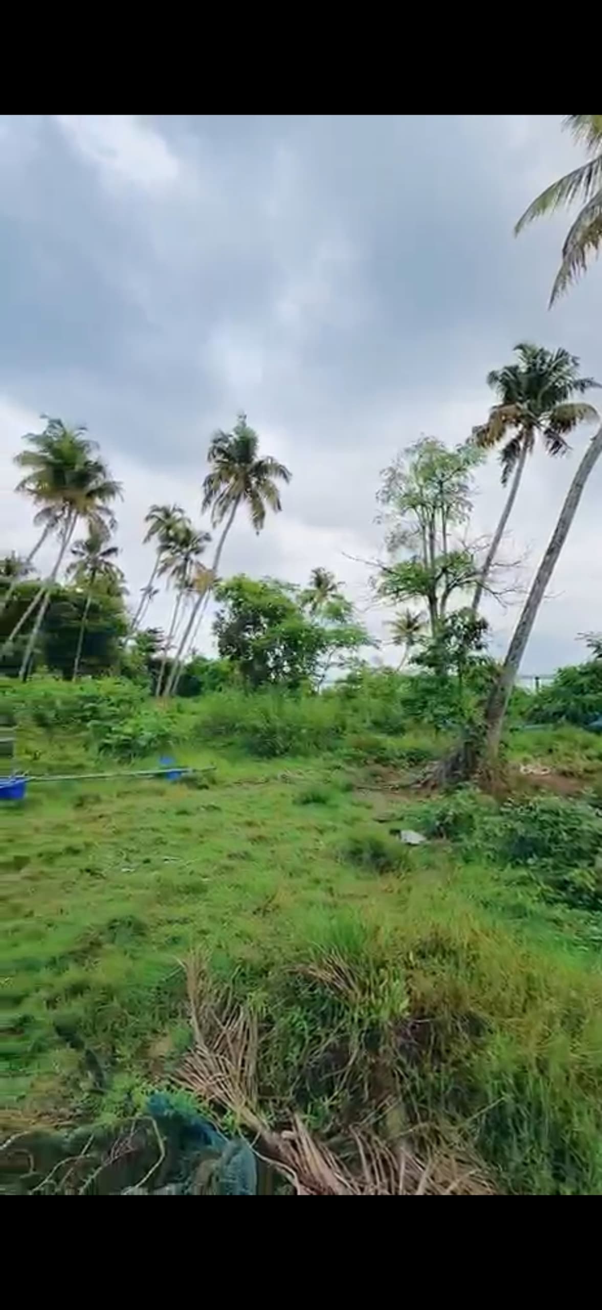 Plot for Sale in Chathanad, Kochi