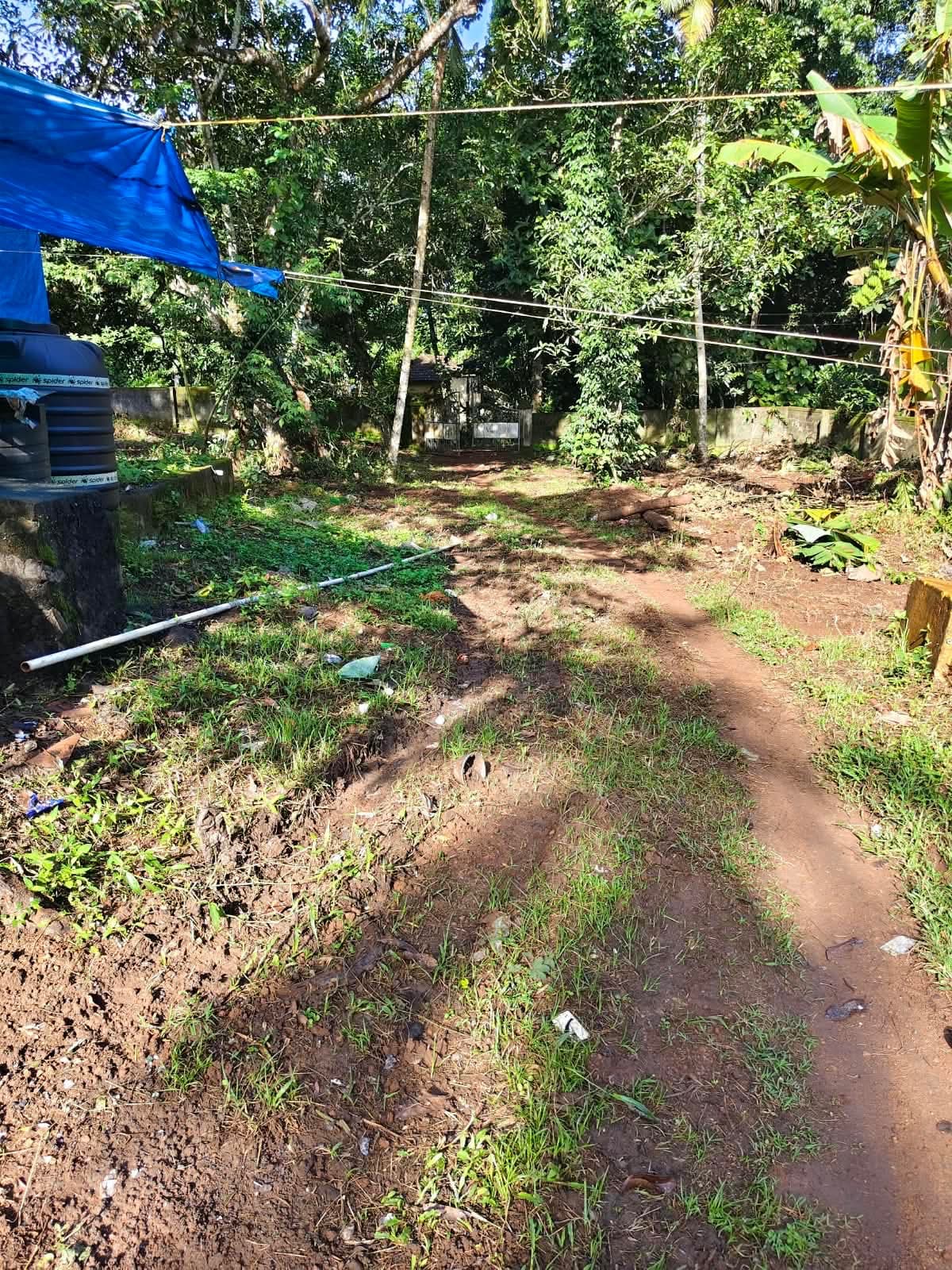 Plot for Sale in Nellimukku, Kollam