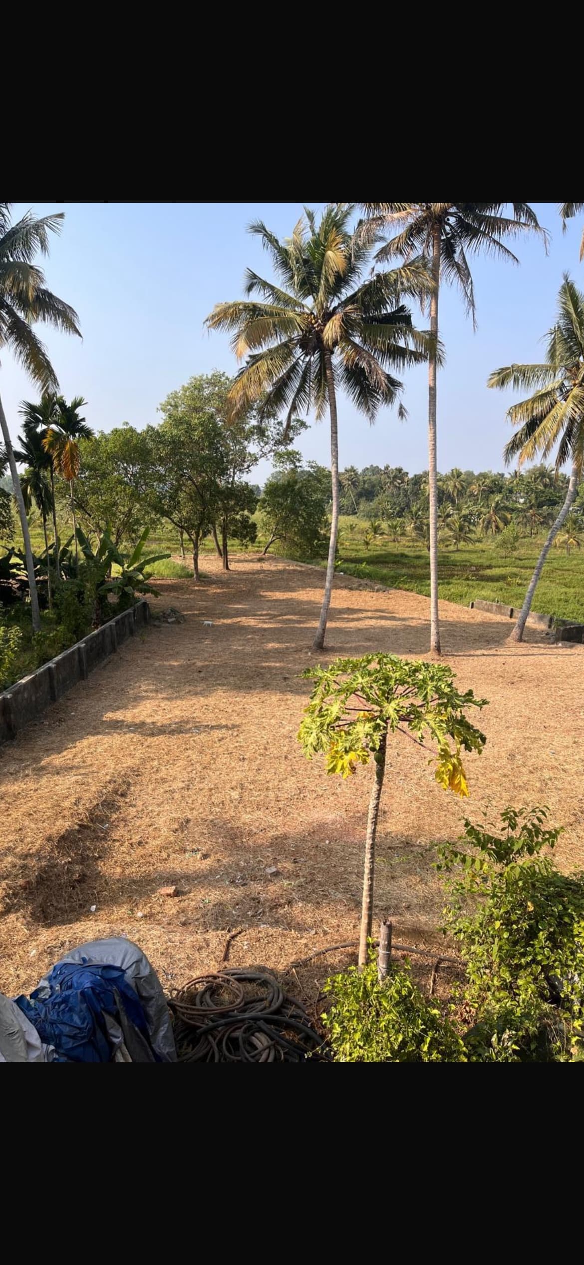 Plot for Sale in Manakkapady, Kochi