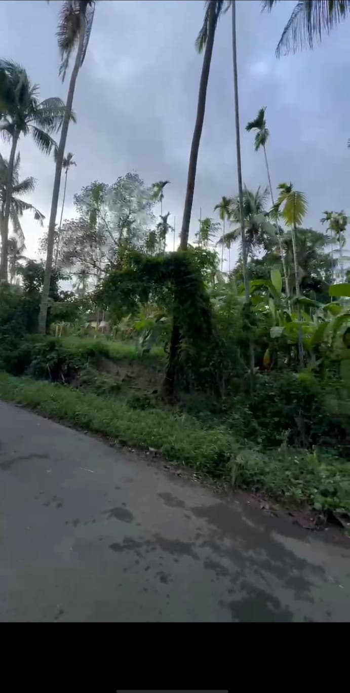 Plot for Sale in Velur, Thrissur