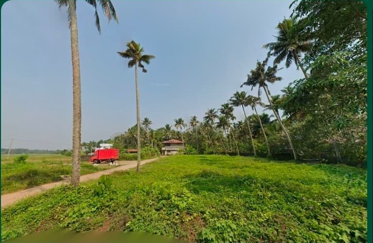 Plot for Sale in Thottakkattukara, Kochi