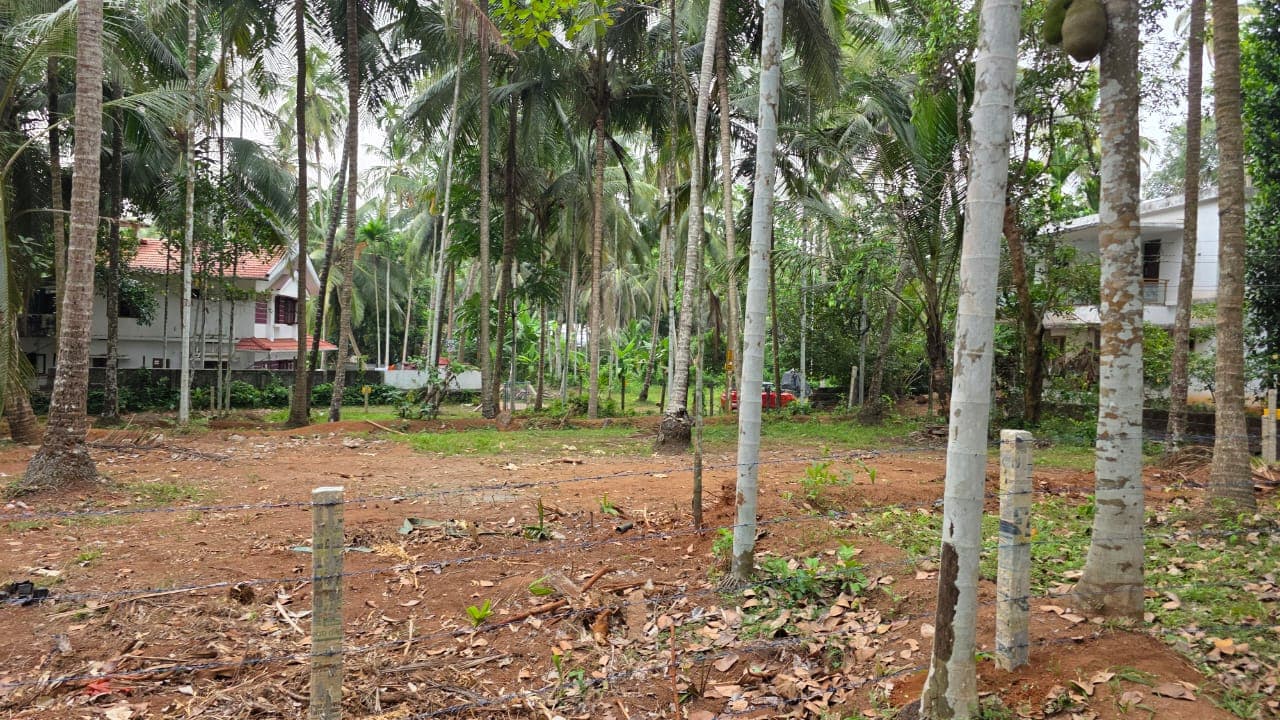 Plot for Sale in Pantheerankave, Kozhikode