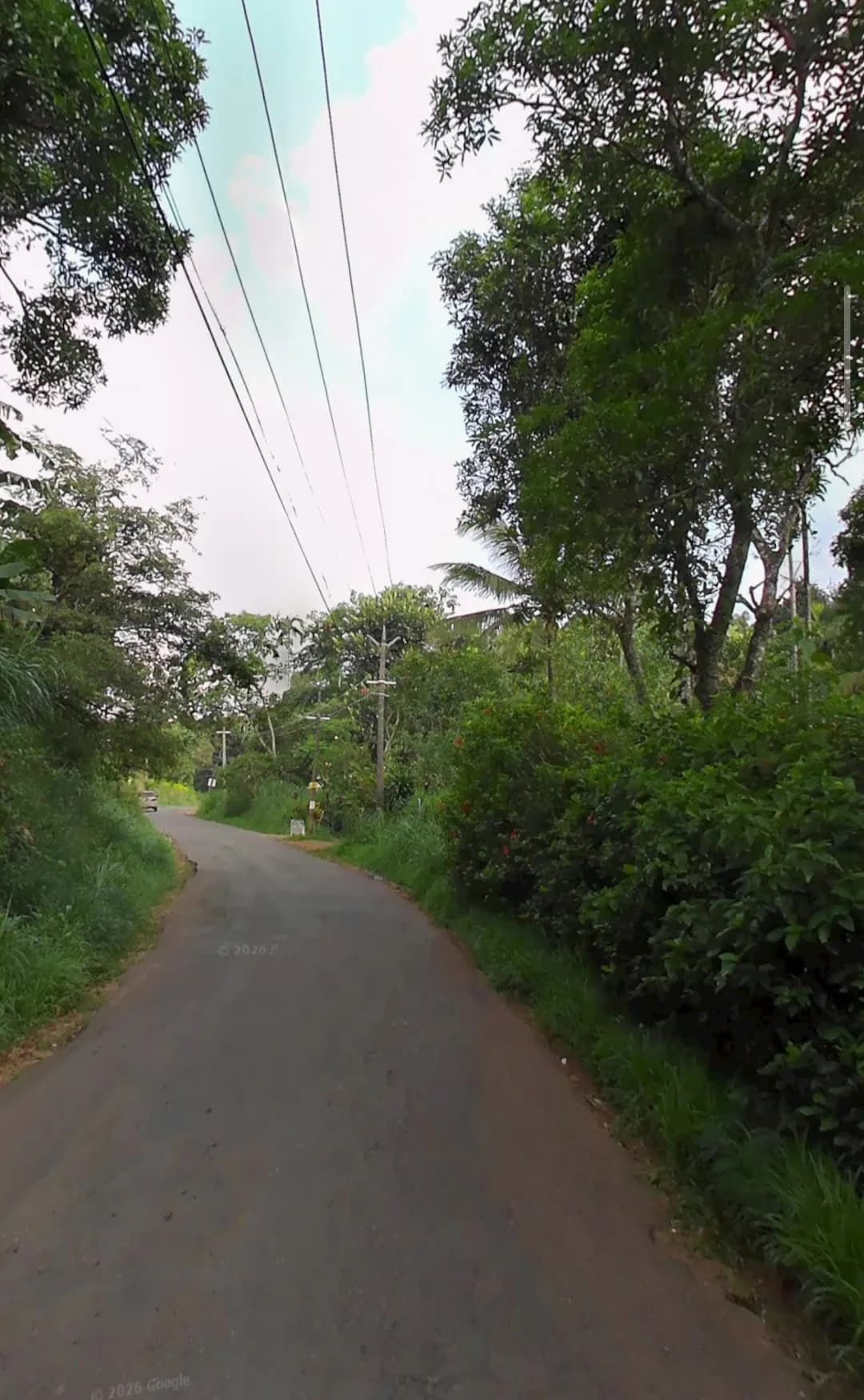 Plot for Sale in Kallar, Idukki