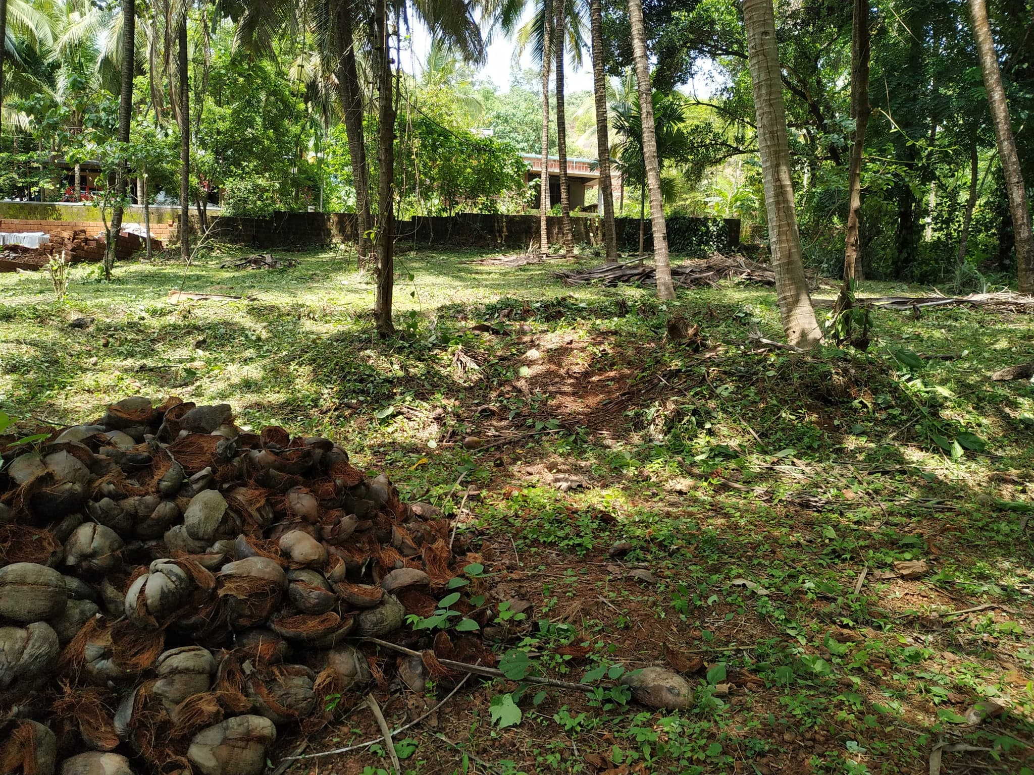 Plot for Sale in Colony, Meladukkam, Kasaragod