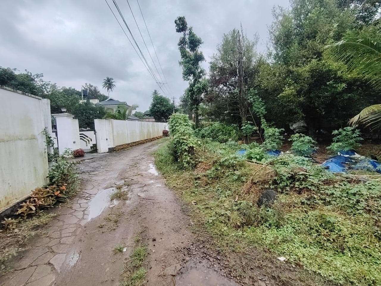 Plot for Sale in Madathedath Colony, Kochi