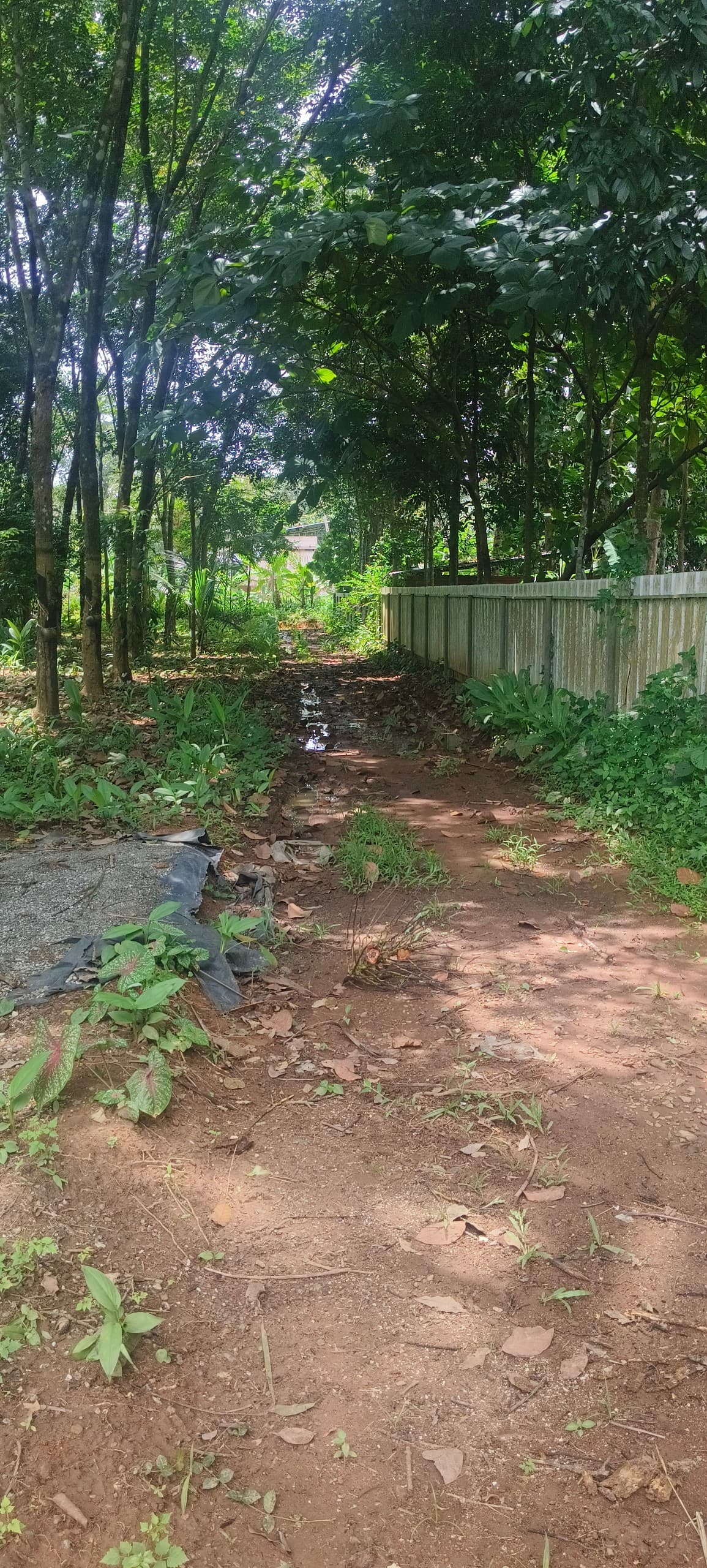 Plot for Sale in Cinemaparambu, Kollam