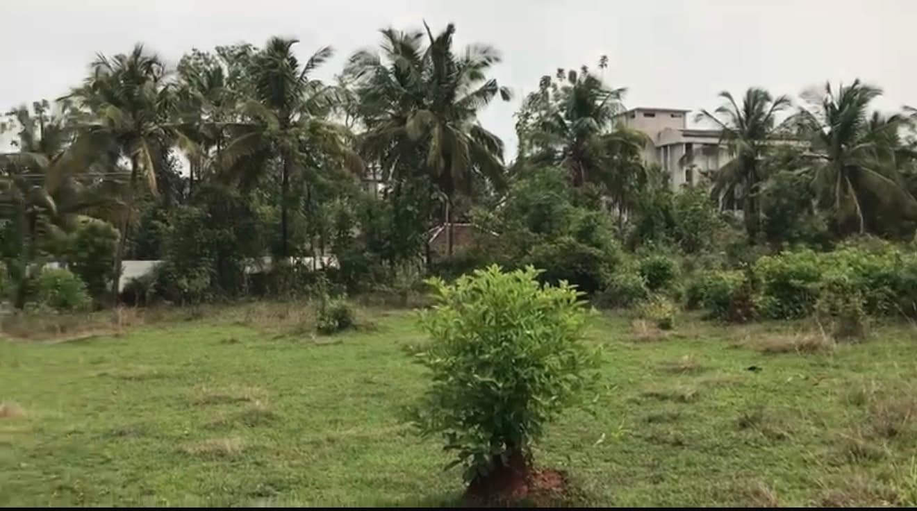 Plot for Sale in Perumatty, Palakkad
