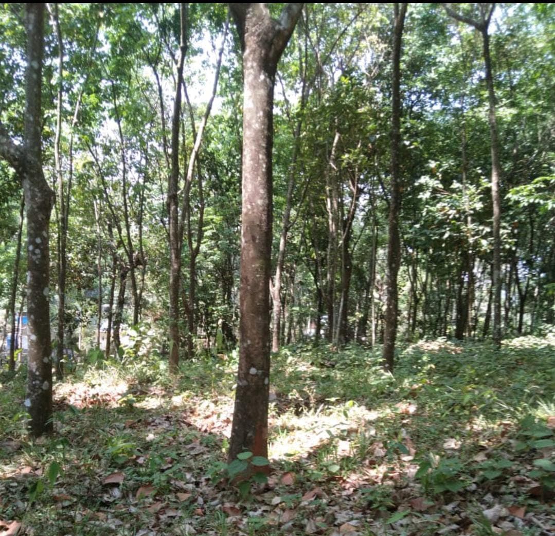 Plot for Sale in Kudakkachira, Kottayam