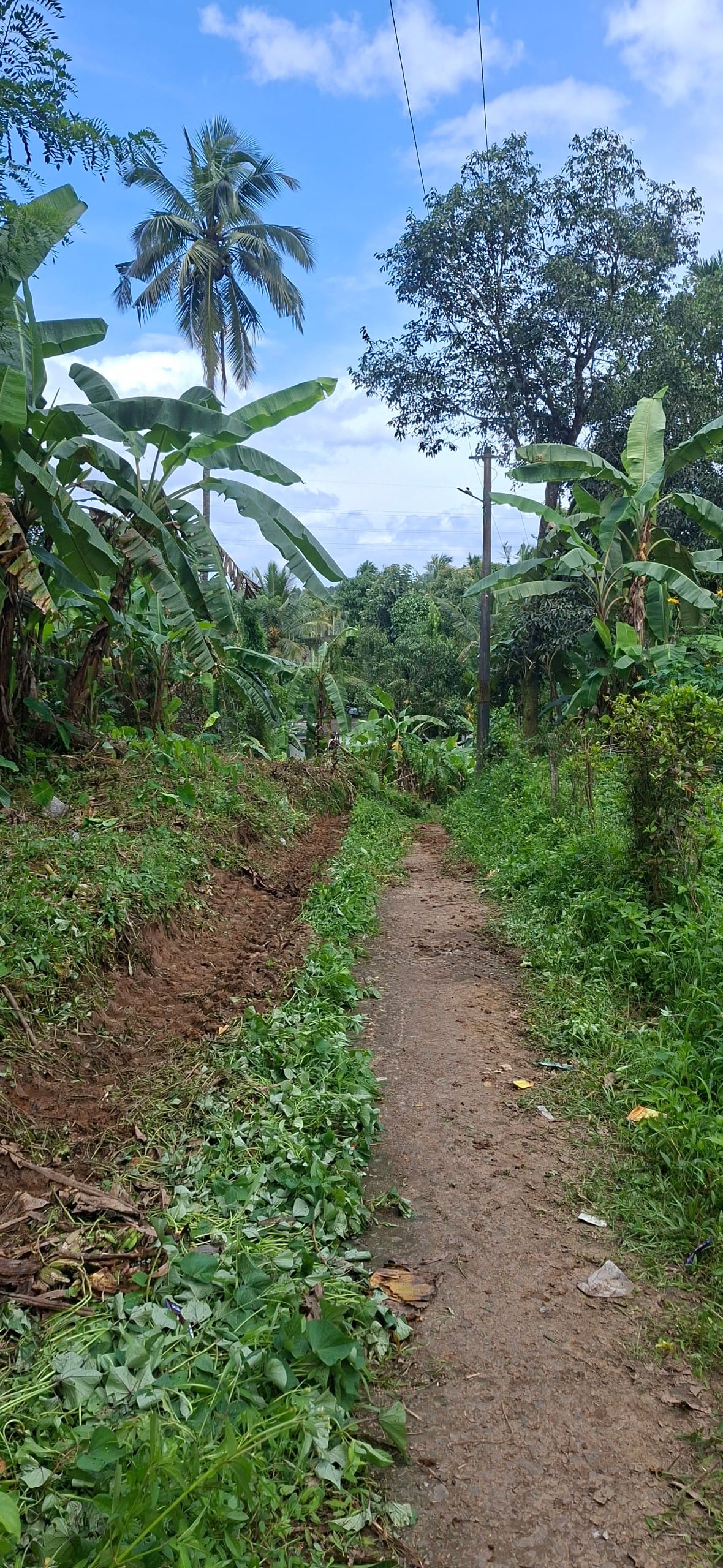 Resident plot in kaniyambatta