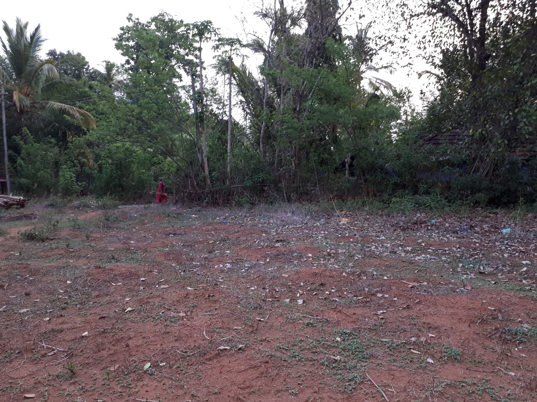 Plot for Sale in Pazhayanur, Palakkad