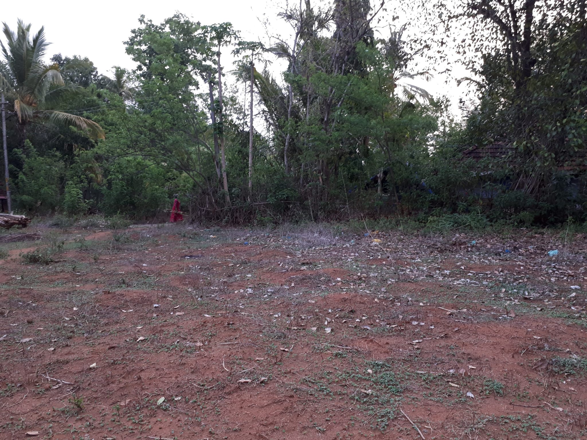 RESIDENTIAL PLOT FOR SALE IN POTTA (KALLEPPADAM-PAZHAYANNUR MAIN BUS ROUTE ROAD