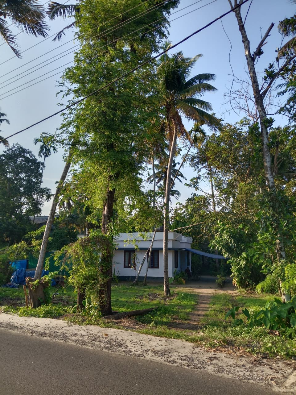Plot for Sale in Vasudeva Vilasam Valavu, Thrissur
