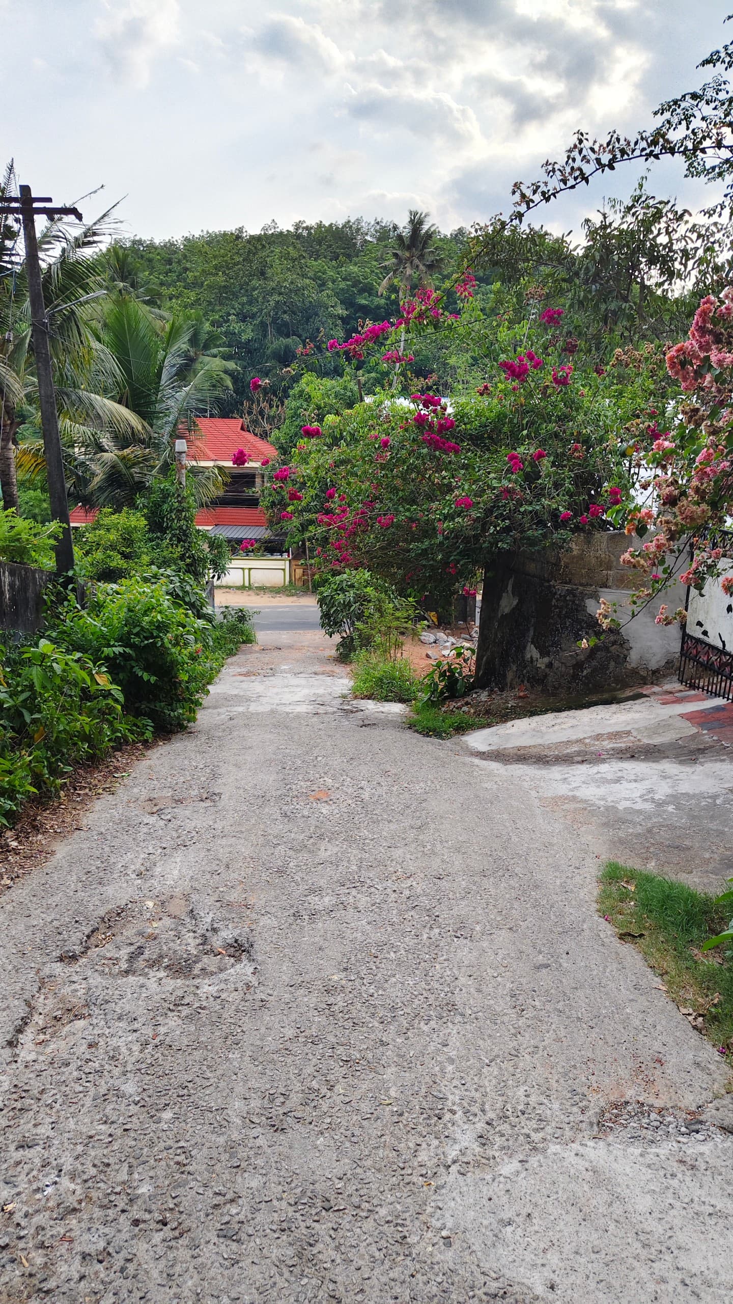 Plot for Sale in Pazhakutty, Thiruvananthapuram