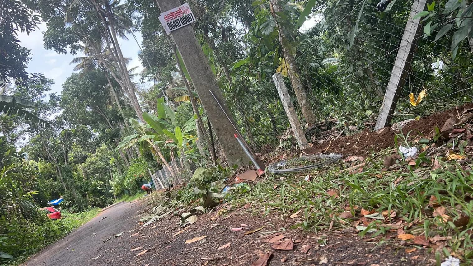 Plot for Sale in Nathukallu, Idukki