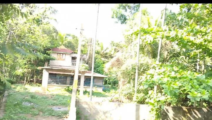 Plot for Sale in Thekkangadi Colony, Palakkad