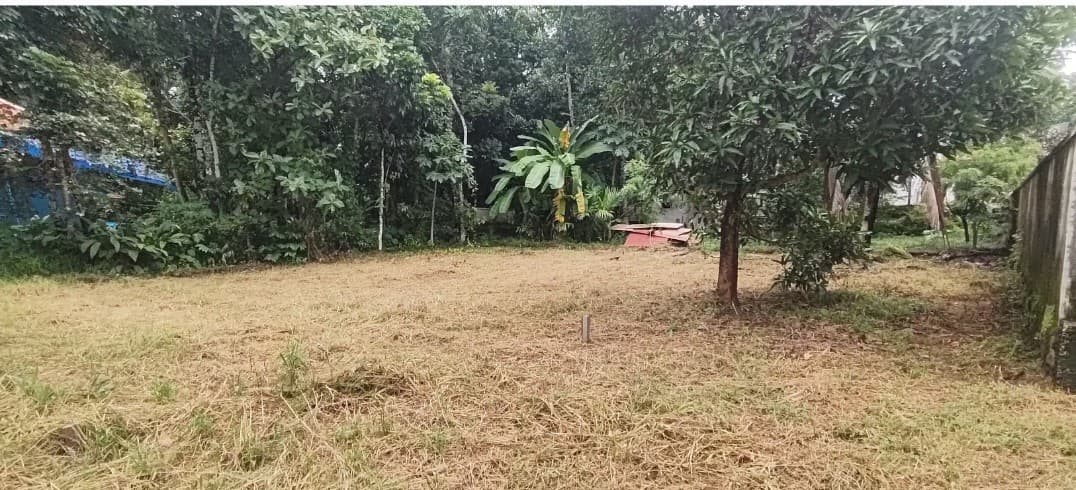 Plot for Sale in Ottaplackal, Alappuzha