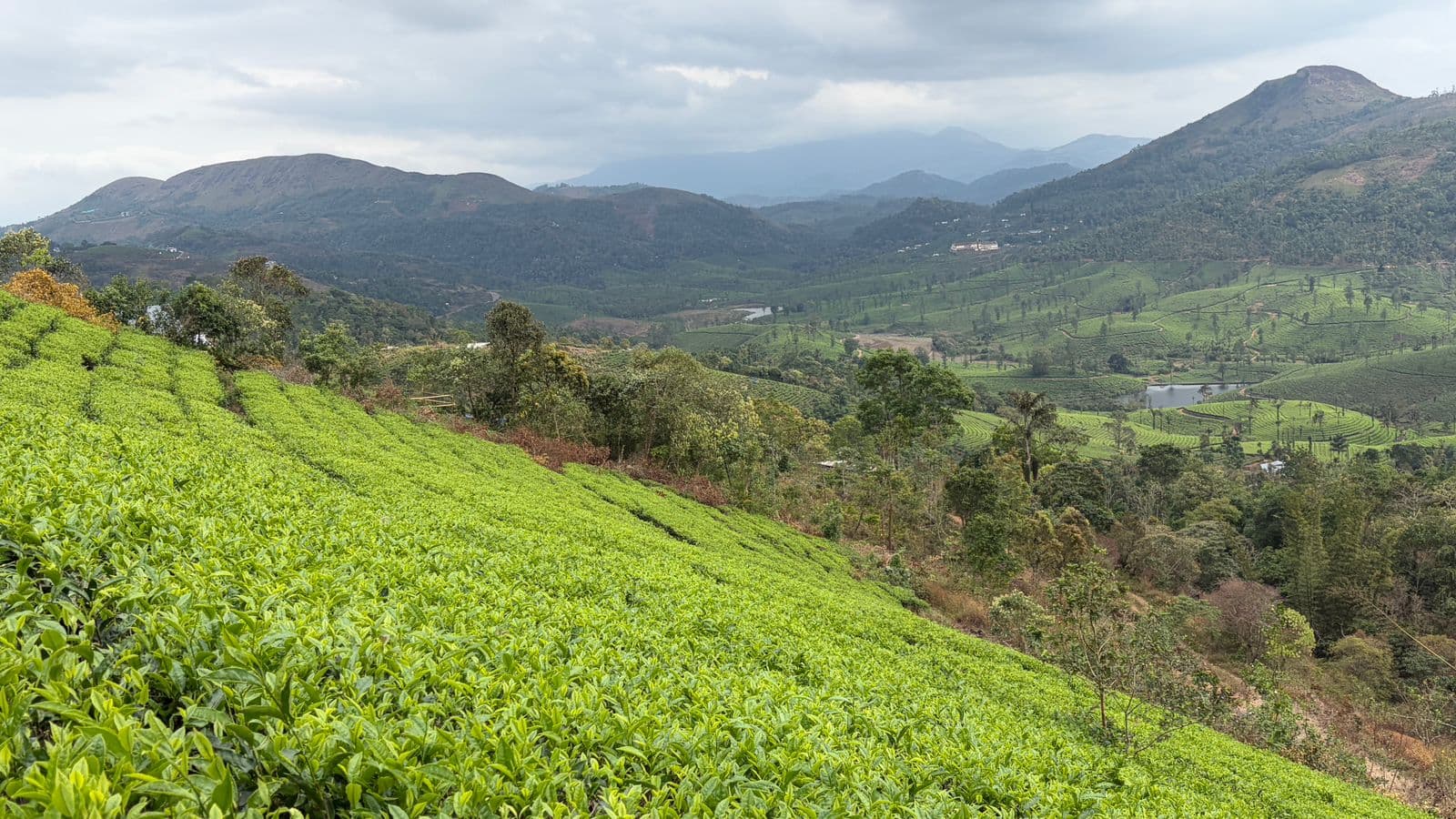 Plot for Sale in Vagamon, Idukki
