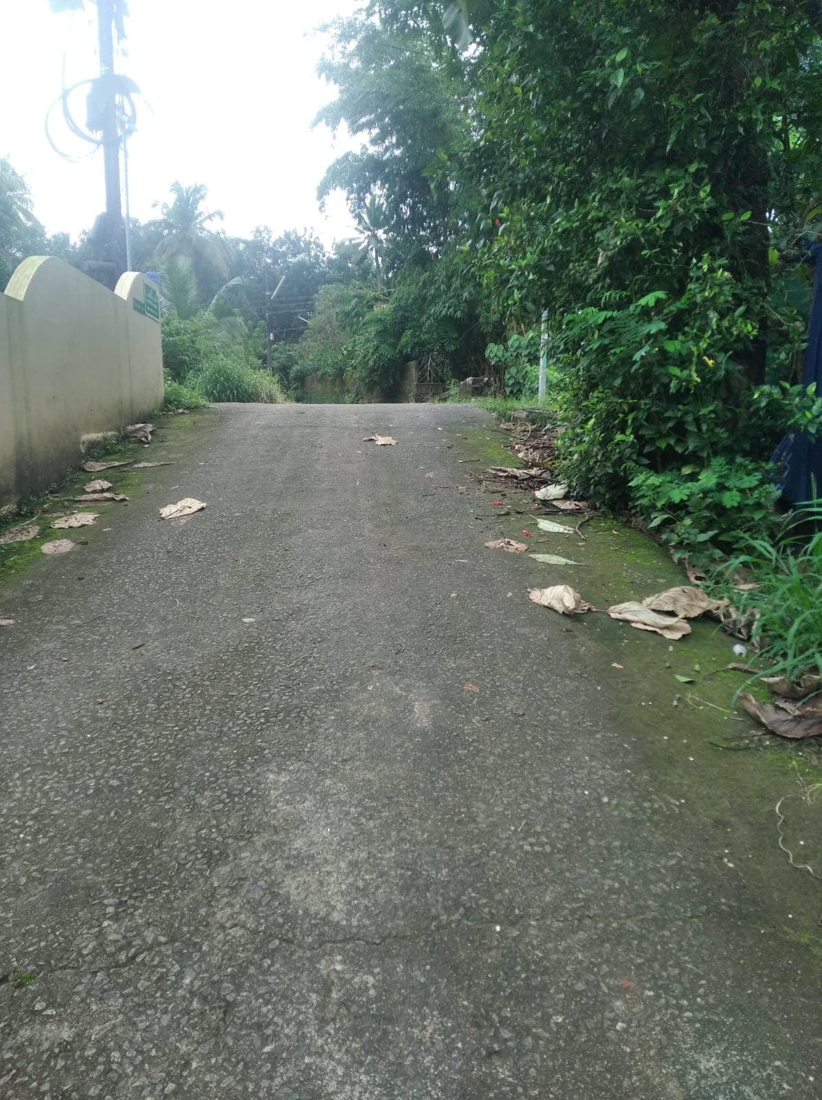 Plot for Sale in Karumalloor, Kochi