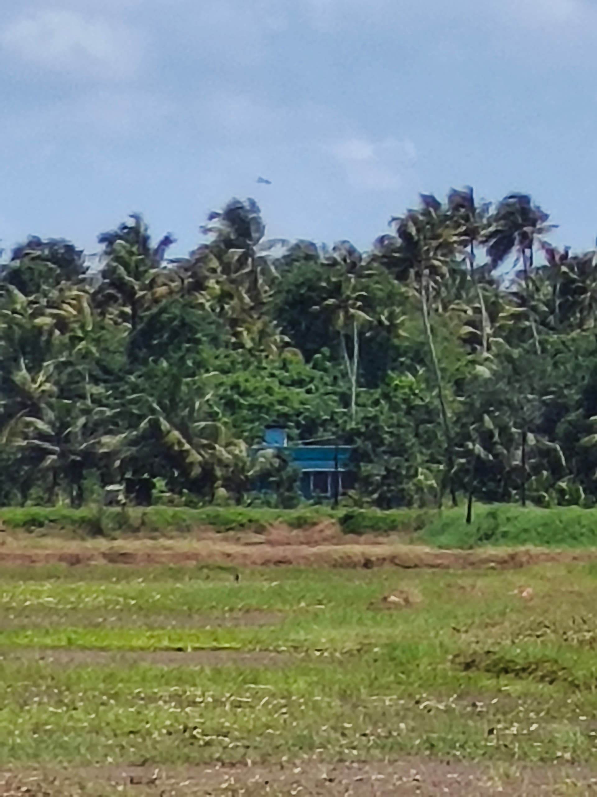 Commercial for Sale in Pazhayanur, Thrissur