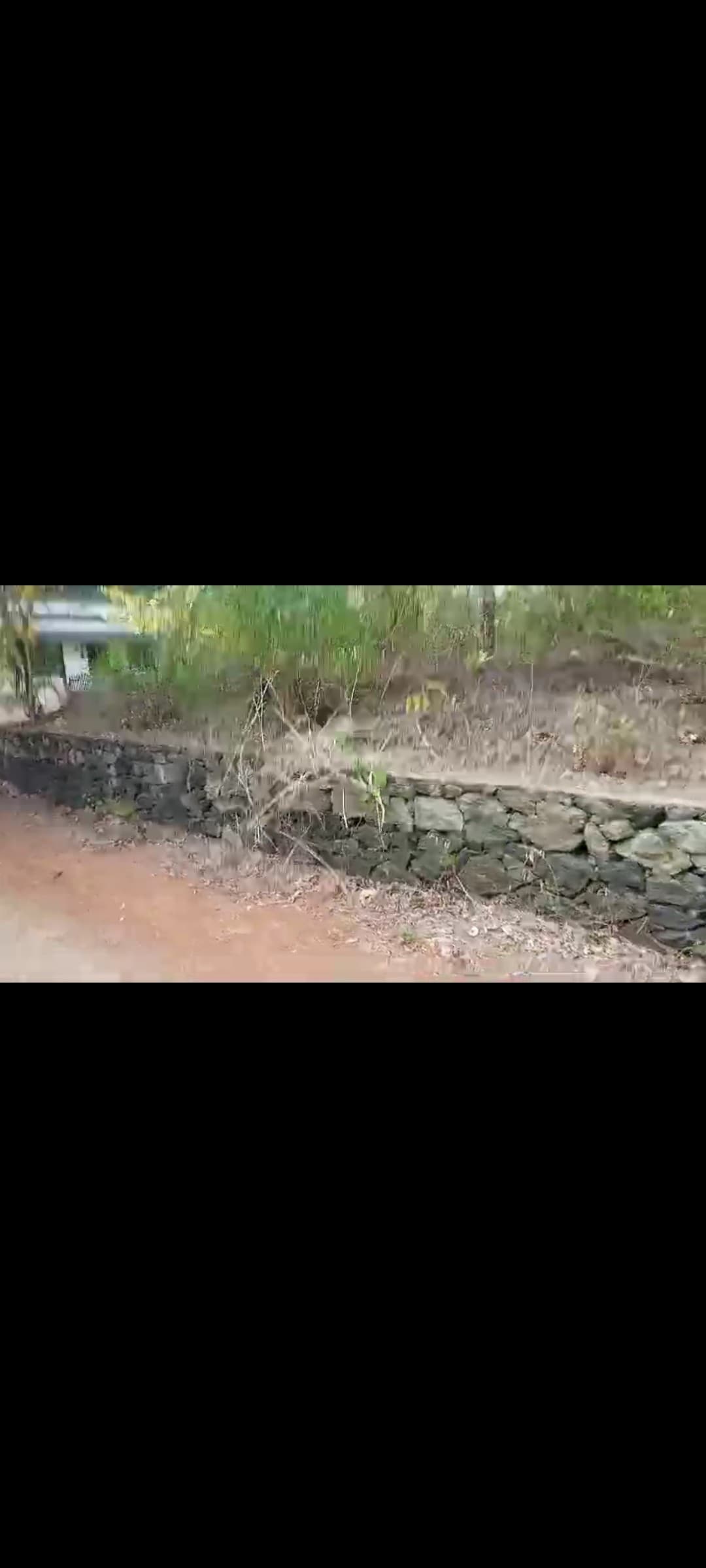 Plot for Sale in Sreekrishnapuram -I, Palakkad