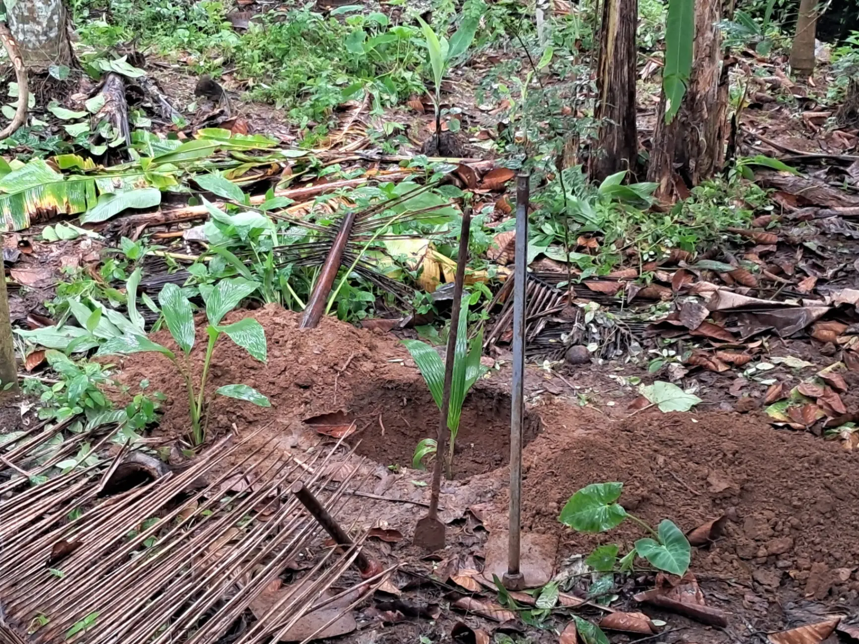 Plot for Sale in Anikkadu, Kottayam