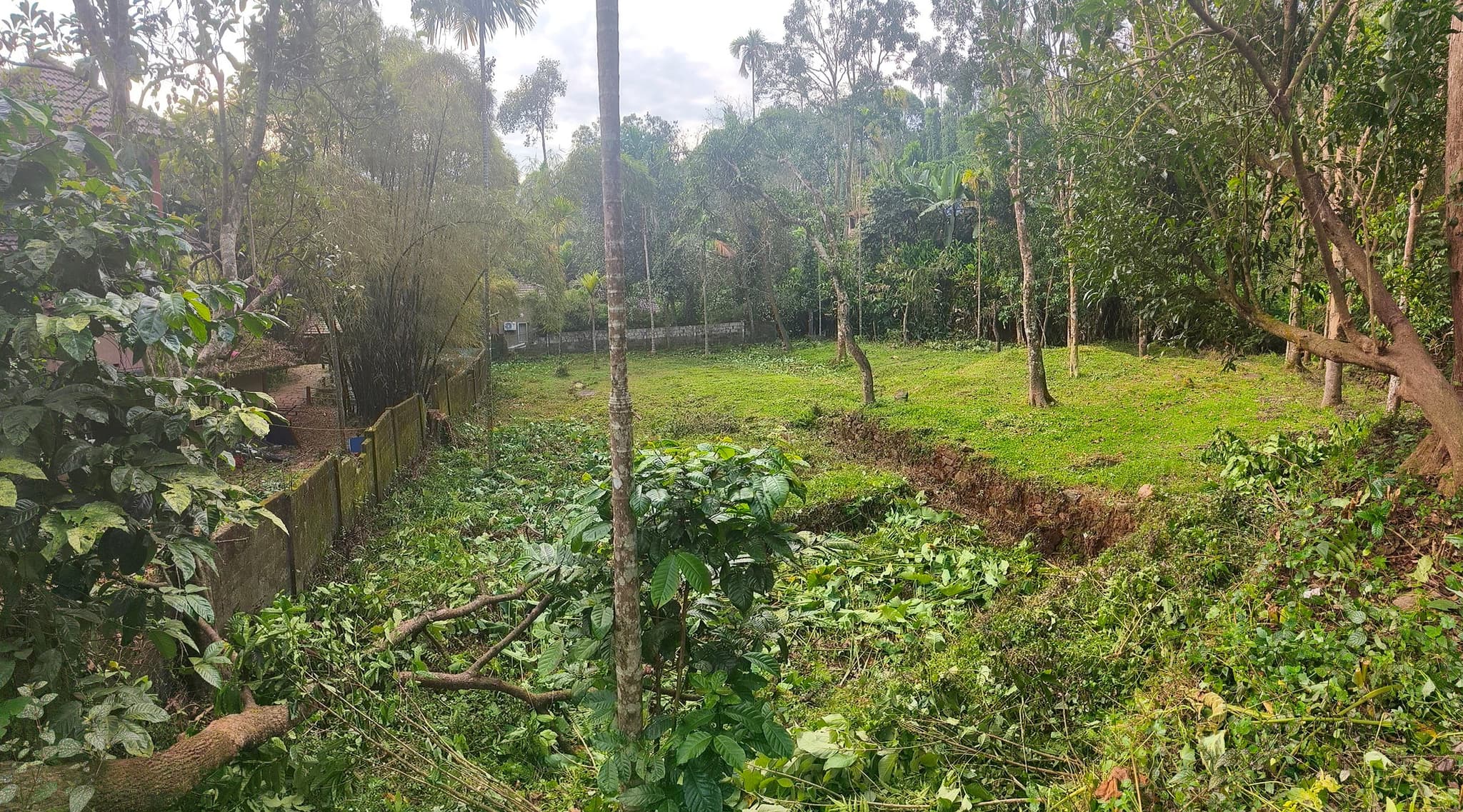 Plot for Sale in Pokkode Diary Colony, Wayanad