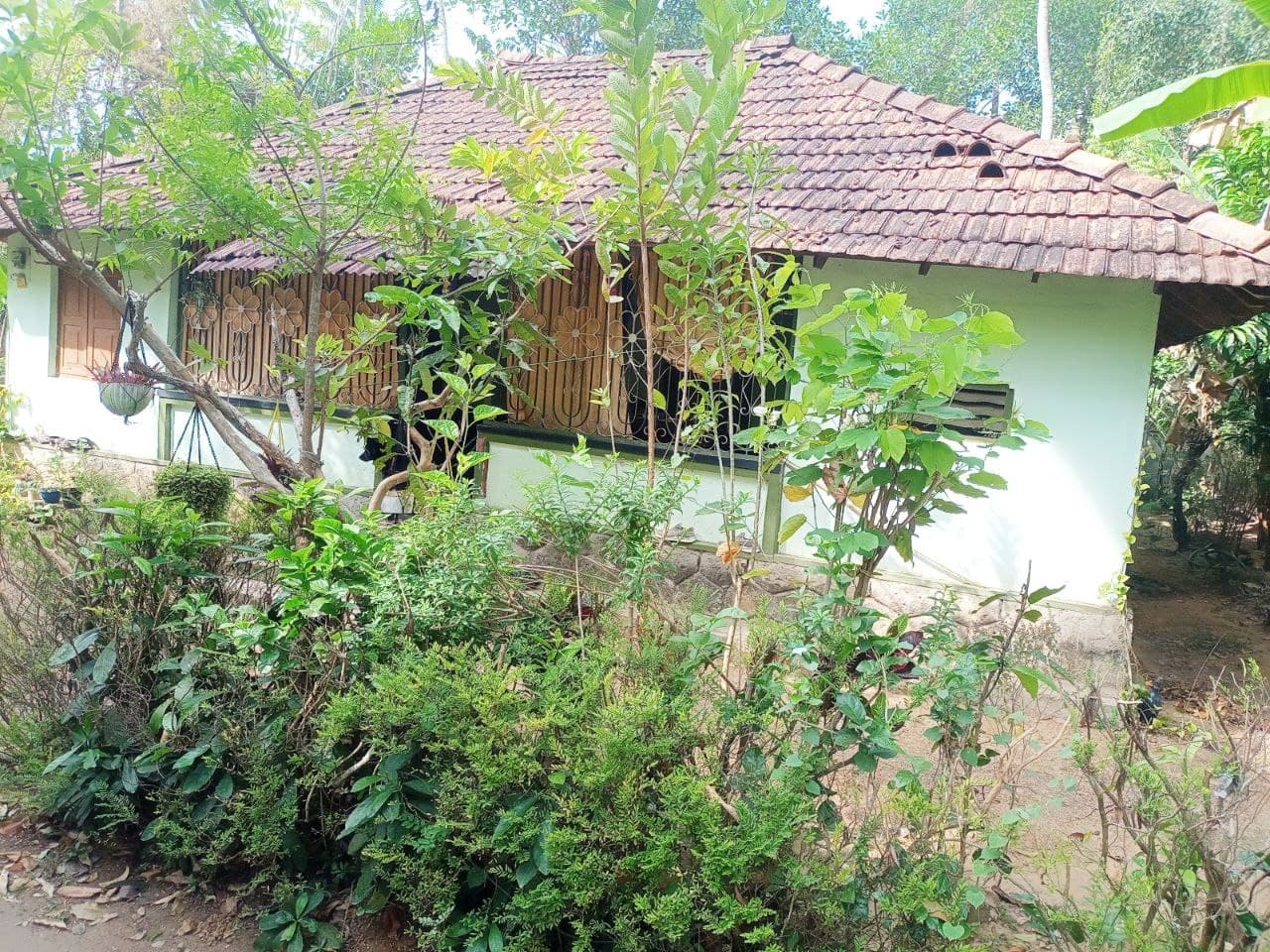 Plot for Sale in Madathikara, Thrissur