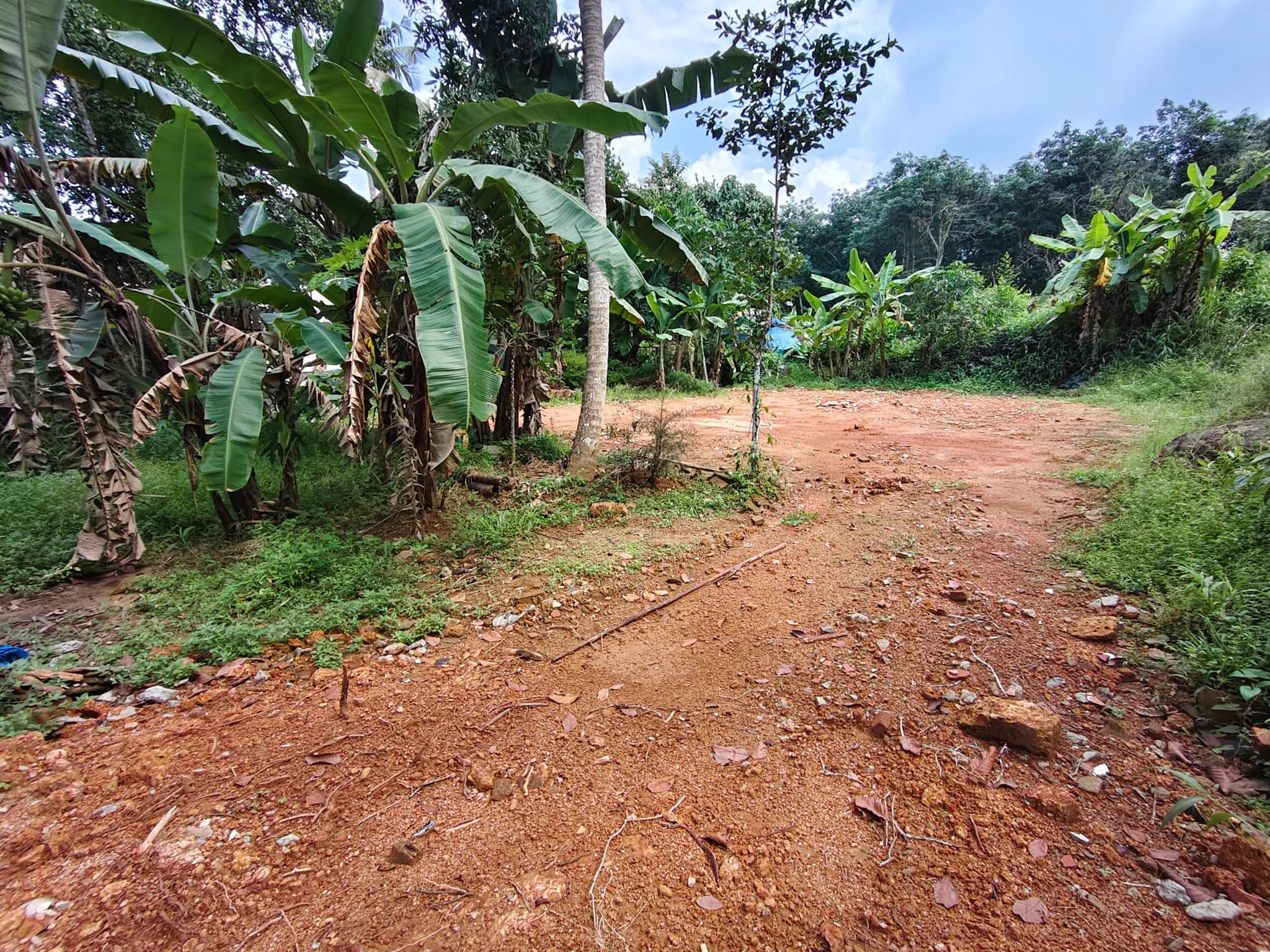Plot for Sale in Mulanthuruthy, Kochi