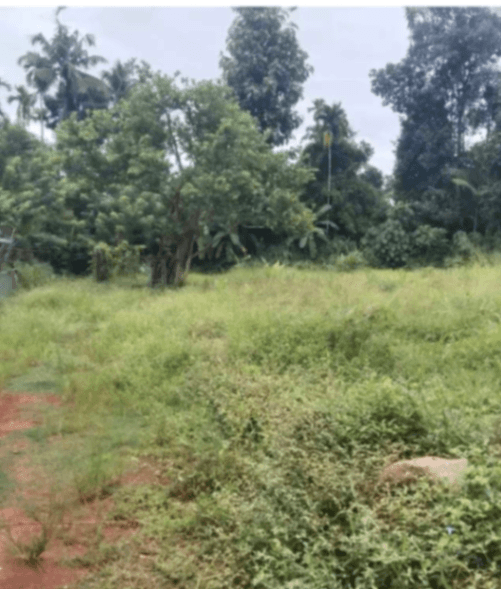 8 cent plot for sale