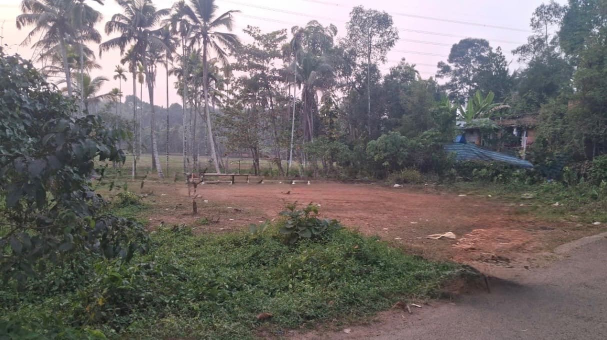 Plot for Sale in Pallikkara, Kochi